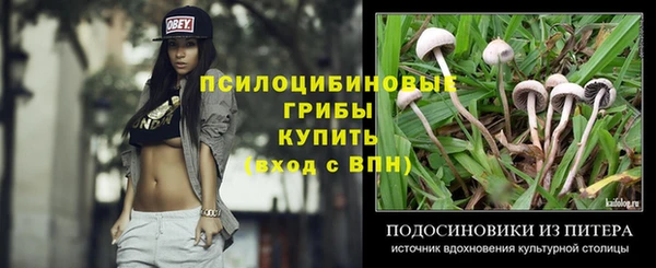 дживик Алзамай