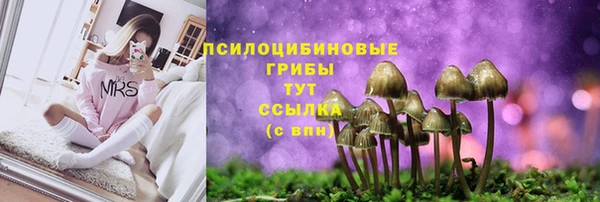 спайс Алексеевка