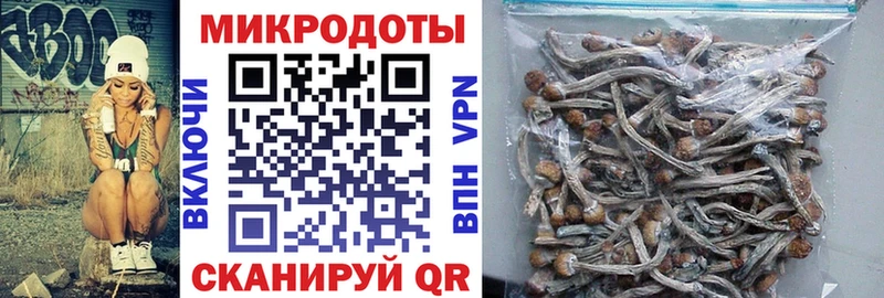 Псилоцибиновые грибы Magic Shrooms  Дегтярск 